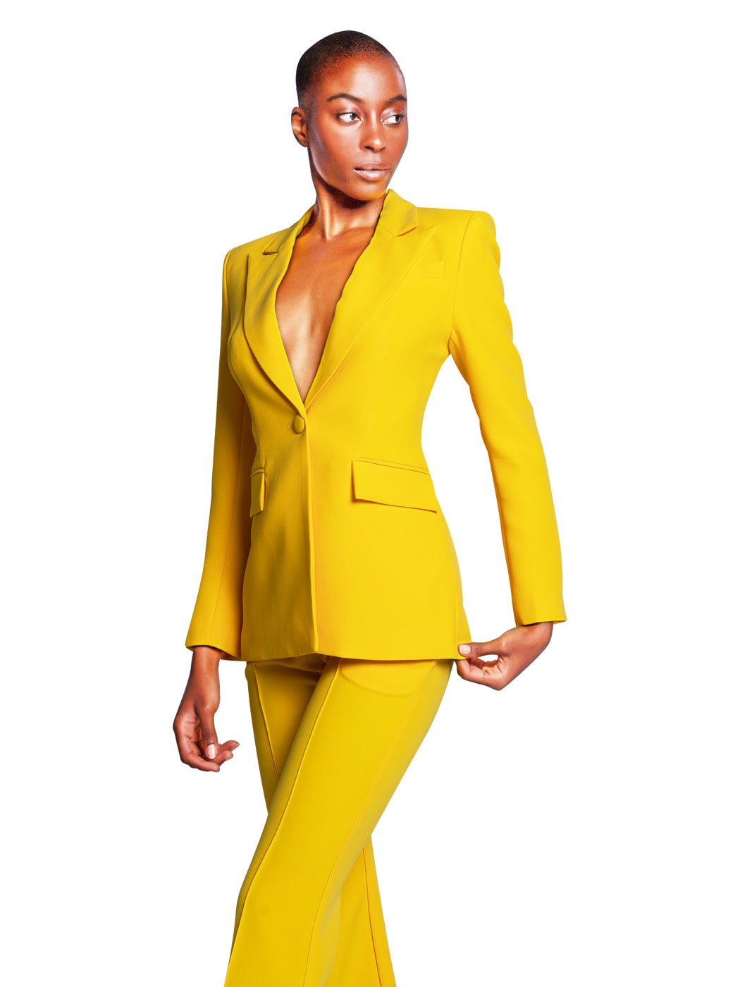 Bahira Blazer + Pants Set In Yellow