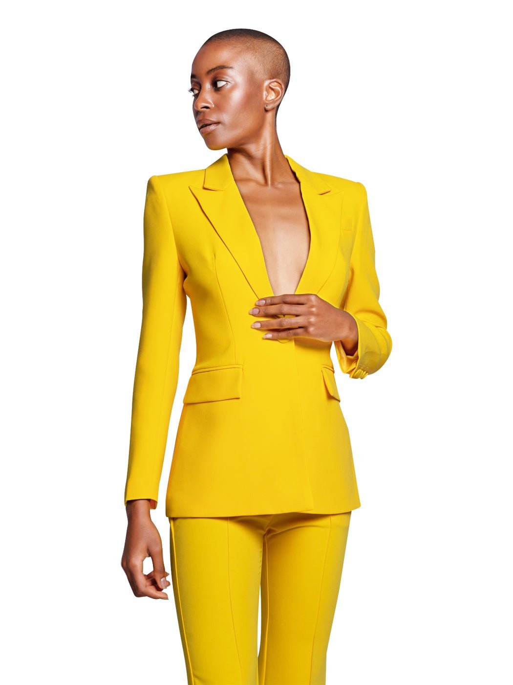 Bahira Blazer + Pants Set In Yellow